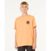 T-Shirt Enfant Rip Curl Wetsuits Icon