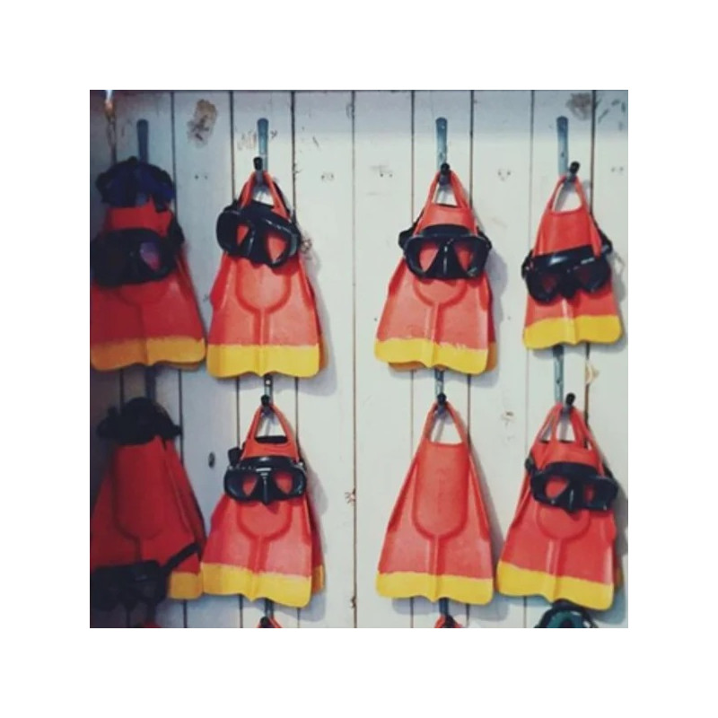 Palmes Dafin Lifeguard