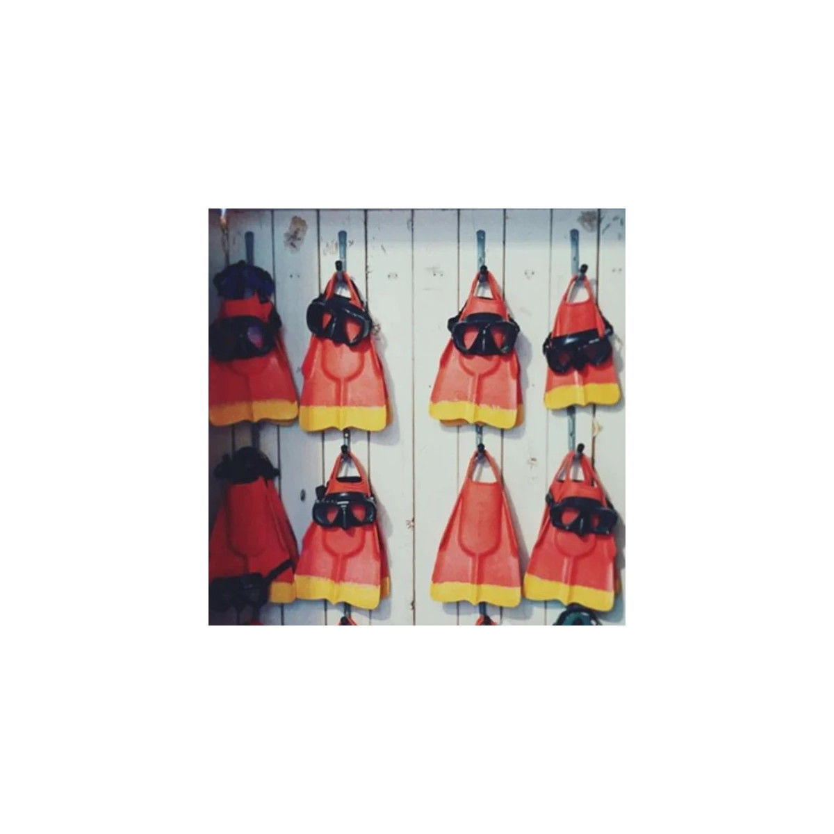 Palmes Dafin Lifeguard